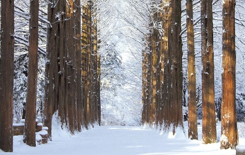 Nami Island