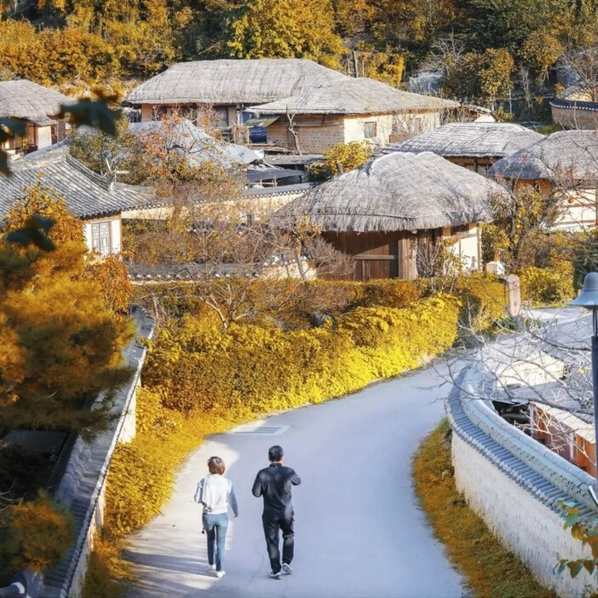 Yangdong Village